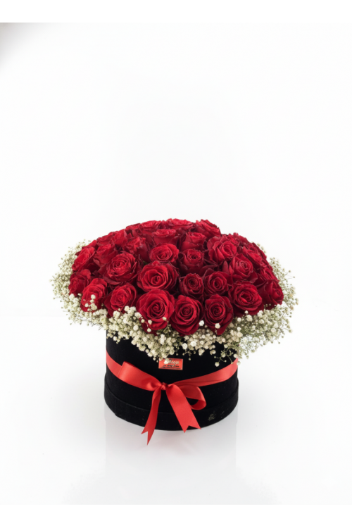 Kutuda Gül ve Cipsofilya