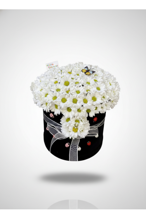 Kutulu Papatya Buketi